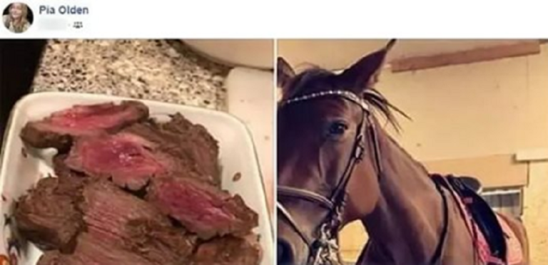 Femme Morte Après Rapport Avec Un Cheval Une jeune femme reçoit des menaces de mort pour avoir mangé son propre